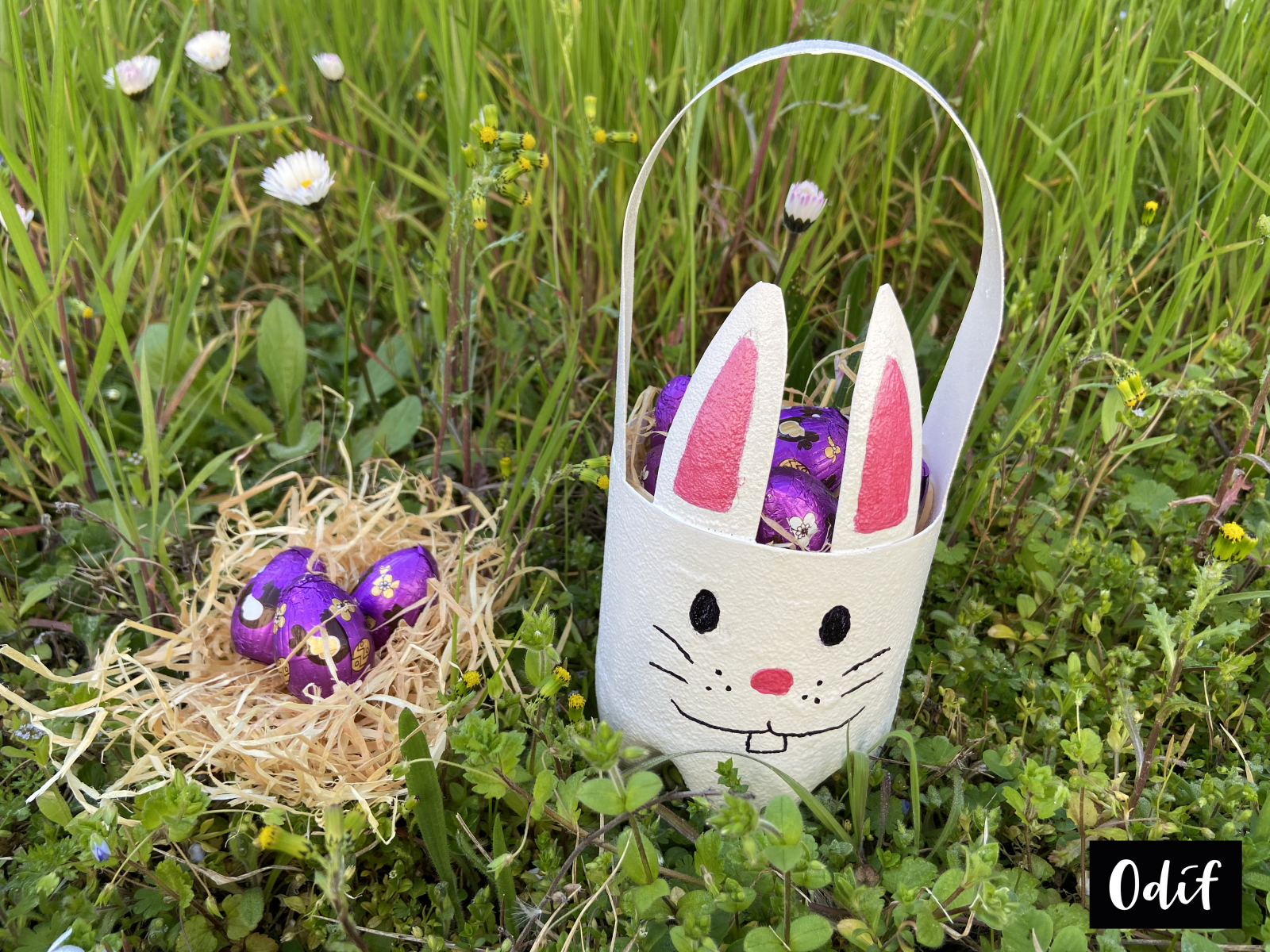 Photo : DIY - Bunny basket